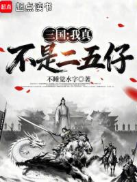 三国，我真不是二五仔！